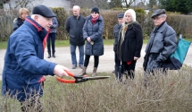 Pokaz cięcia drzew i krzewów w Poznaniu